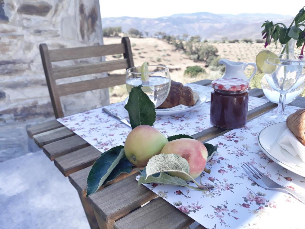 Casinha Da Colina Villa Alfândega da Fé Dış mekan fotoğraf