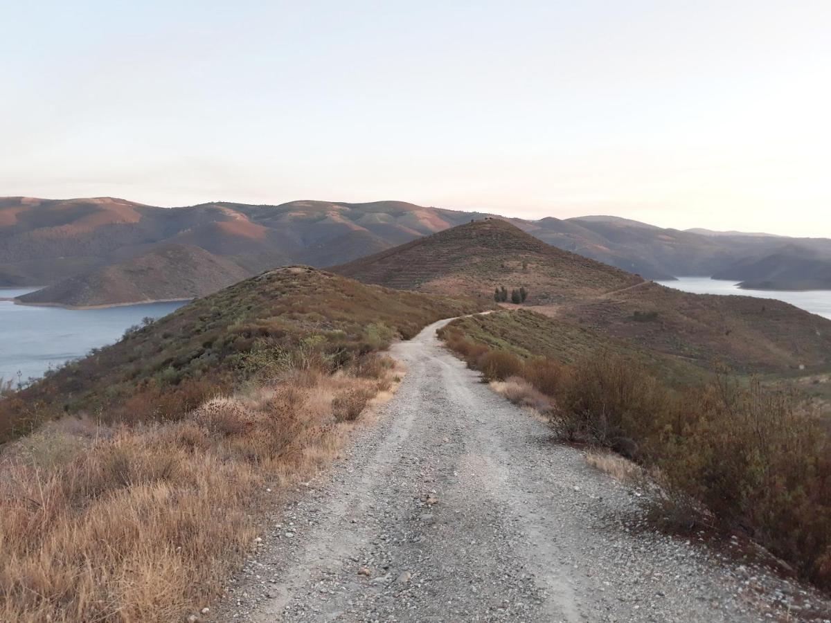 Casinha Da Colina Villa Alfândega da Fé Dış mekan fotoğraf