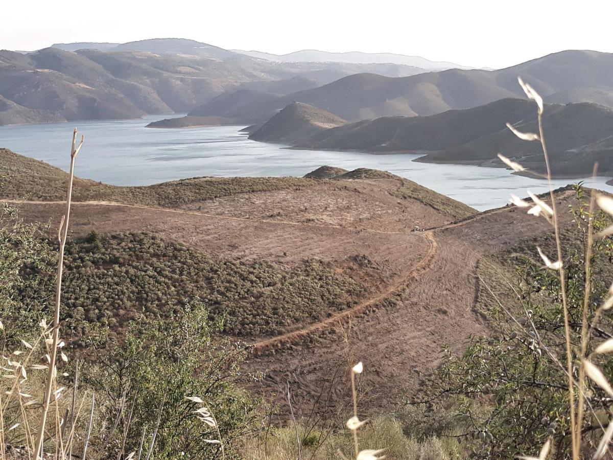 Casinha Da Colina Villa Alfândega da Fé Dış mekan fotoğraf