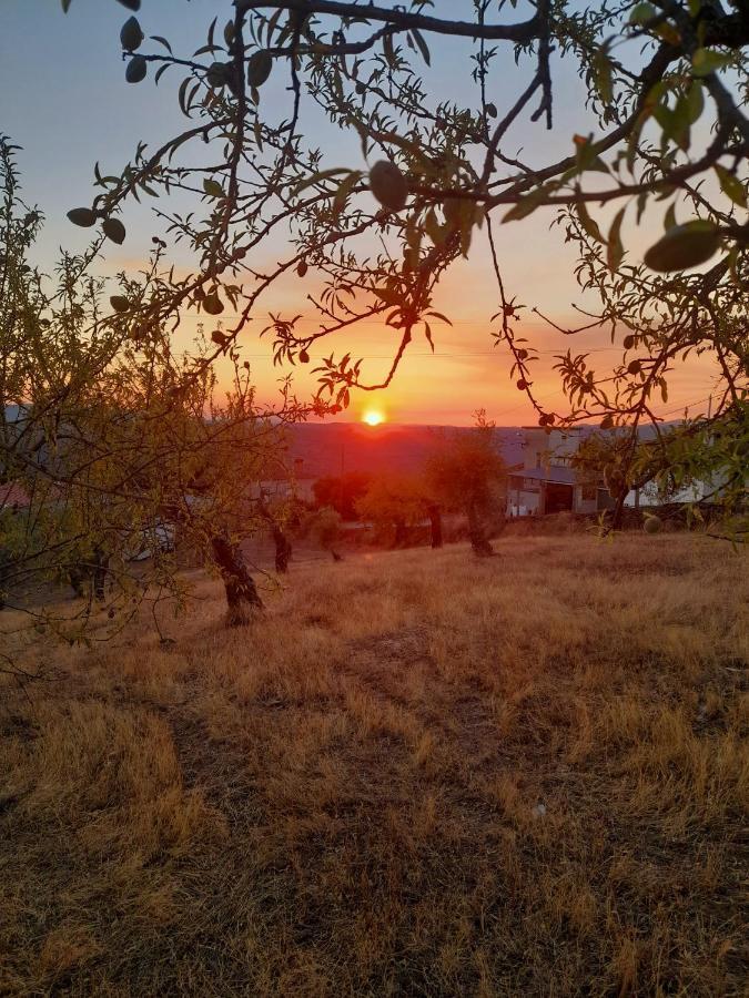 Casinha Da Colina Villa Alfândega da Fé Dış mekan fotoğraf