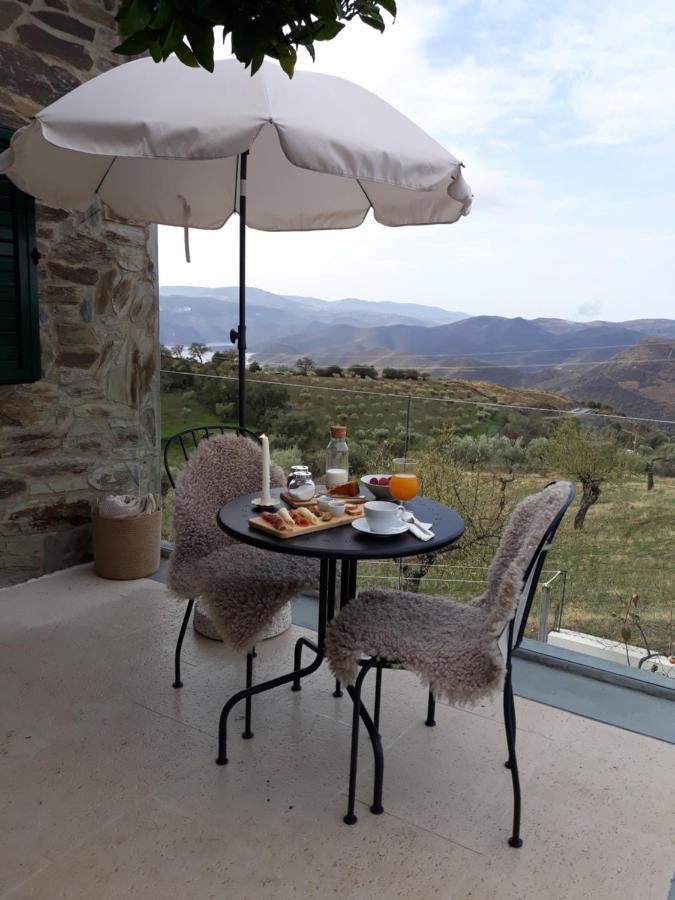 Casinha Da Colina Villa Alfândega da Fé Dış mekan fotoğraf