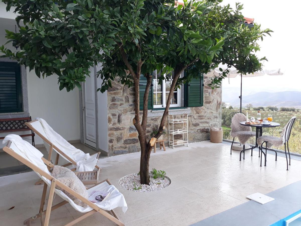 Casinha Da Colina Villa Alfândega da Fé Dış mekan fotoğraf